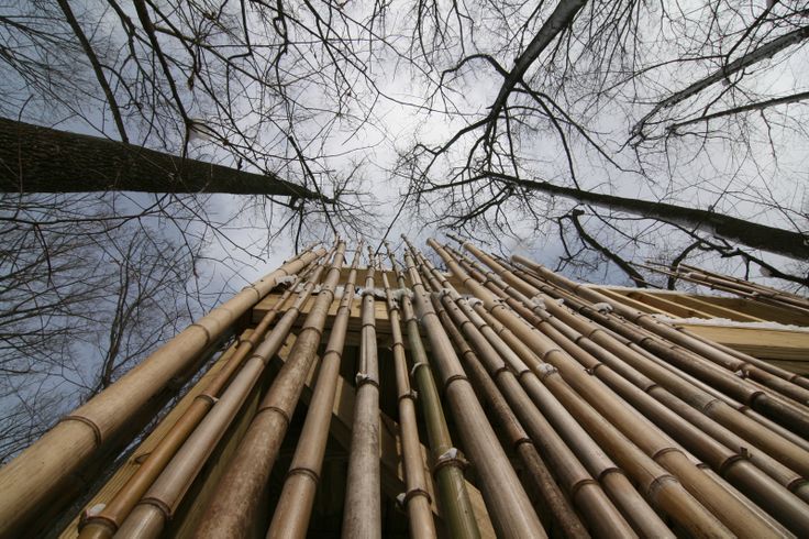 Pengawetan Bambu  I Bambu  menuju arsitektur modern dan 
